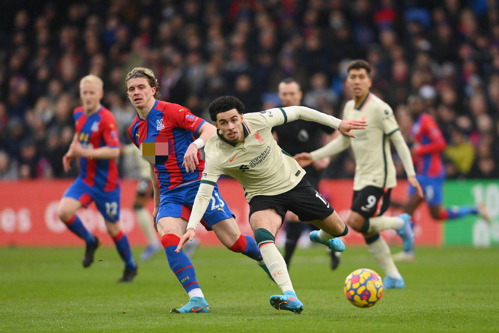 更是一个敢 更是一个敢